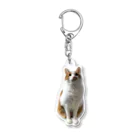 mellokkomaのふわふわコマ Acrylic Key Chain