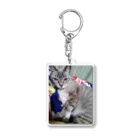 ねこの森でお散歩の幸運を呼ぶモカちゃん Acrylic Key Chain