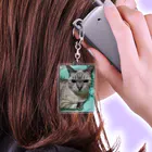 ねこの森でお散歩の微妙な顔をするかわいいシャムミックス Acrylic Key Chain