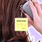 公式　猫目石検定　CHERRYSTONE　　の猫目石 Acrylic Key Chain