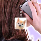 癒しの箱庭の柴犬の子犬 Acrylic Key Chain