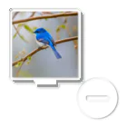 DROOMの自然と蒼い鳥 Acrylic Stand