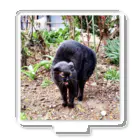 猫のらぶのガチギレねこ Acrylic Stand