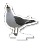 山汐のｳﾐﾈｺﾁｬﾝ煽りver Acrylic Stand