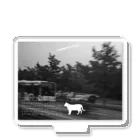 00 2024 2023 2022 WORLD TOP NEWS most famous person NFT ART Most Expensive Art 2022 FREE MOVIE FASHION APPAREL BRAND AI VR ONLINE DESIGN modern art ©Shnizellz official Shion.Inc エルシオン 現代アート オンライン通販ファッションブランド  2022 世界トップフォトグラファー world top photographerの00 2062 2025 WORLD TOP NEWS #非公開 #限定 #美女モデル #人気ユーチューバーランキング #好きな絵画ランキング #招待制ブランド #人気動画 #まとめ #通販 #ニュースランキング ©shion.co FREE MOVIE TV MOST FAMOUS MODEL ARTIST 21 ART BEST SELLER USA #مزاد #ranking #スズリ様専用 #売れ筋 #核シェルタ #fff #世界の全ての命の為に #روائعالعالم #©シュナイゼル Acrylic Stand