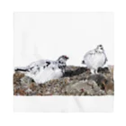 静かな山の頂への雷鳥のカップル Bandana