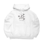 st_drop_laboratoryのカフェインの化学構造式 Big Hoodie