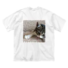 南の島のにゃんこのこねこのパル～南の島のにゃんこ～ Big T-Shirt