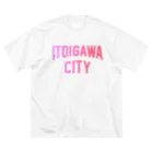 JIMOTOE Wear Local Japanの糸魚川市 ITOIGAWA CITY Big T-Shirt