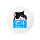 ドライのハチワレ猫　右耳難聴 ★人気商品★ 片耳難聴　突発性難聴　難聴者　右耳が聞こえない　難聴グッズ　一側性難聴 Tin Badge