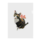 三毛猫tetoteの三毛猫teto Clear File Folder
