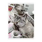 ねこの森でお散歩の至福のシャムミックス Clear File Folder