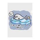 ひよこ男爵とまだむにゃんのごまふあざらにゃん Clear File Folder