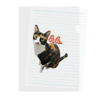 三毛猫tetoteの三毛猫teto Clear File Folder