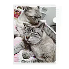 ねこの森でお散歩の至福のシャムミックス Clear File Folder