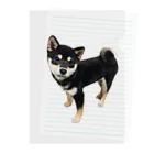 黒柴　ルー君の黒柴　ルー君 Clear File Folder