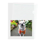 akane_art（茜音工房）のカラフルチワワ（フラワー） Clear File Folder