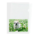 akane_art（茜音工房）のカラフルチワワ（クローバー） Clear File Folder