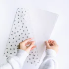 皐月 恵 -Kei Satsuki-のチャイナ×ゴシック×武器 Clear File Folder