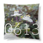 ς ua· Birthday flowerの6月13日 ブライダルベール Cushion