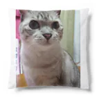 ねこの森でお散歩のお目々くりくりにゃんこ Cushion