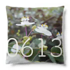 ς ua· Birthday flowerの6月13日 ブライダルベール Cushion