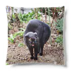 猫のらぶのガチギレねこ Cushion