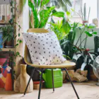 マイクロブタのおもちショップのマイクロブタのおもち Cushion