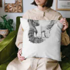 HIDDEN MOON-ARIAKEの16 Cushion