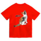 LalaHangeulの三毛猫さん ハングルデザイン  Dry T-Shirt