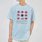 キッズモード某の世界のスイカの山々 Dry T-Shirt