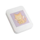 12星座のやさしいひかりのLunaLibra（ルナリブラ） 〜天秤の天使ねこ〜 Flat Tin Case