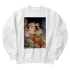 ざらざらせんべい亀の伸び犬 Heavyweight Crew Neck Sweatshirt