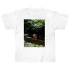 たQまのシンプル　Mt. Dragonbody Heavyweight T-Shirt