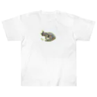 毎日ロクちゃんの毎日ロクちゃん オヒルネ Heavyweight T-Shirt