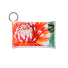 nazuna-panのhanahana-1 Mini Clear Multipurpose Case