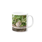 天龍光照の【100円募金】リスのキュートな食事 Mug :right side of the handle