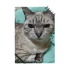 ねこの森でお散歩の微妙な顔をするかわいいシャムミックス Notebook