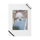 Chigu:ℓσνє♡の可愛いランちゃん Notebook