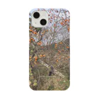 野球の柿　 iPhone Smartphone Case