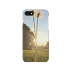 芸術シャツのたんぽぽと夕日の夏 iPhone Smartphone Case