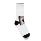 takeoutのカーテンにつかまっているネコ Socks