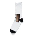 takeoutのカーテンにつかまっているネコ Socks