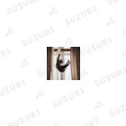 takeoutのカーテンにつかまっているネコ Socks