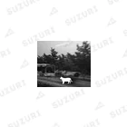 00 2024 2023 2022 WORLD TOP NEWS most famous person NFT ART Most Expensive Art 2022 FREE MOVIE FASHION APPAREL BRAND AI VR ONLINE DESIGN modern art ©Shnizellz official Shion.Inc エルシオン 現代アート オンライン通販ファッションブランド  2022 世界トップフォトグラファー world top photographerの00 2062 2025 WORLD TOP NEWS #非公開 #限定 #美女モデル #人気ユーチューバーランキング #好きな絵画ランキング #招待制ブランド #人気動画 #まとめ #通販 #ニュースランキング ©shion.co FREE MOVIE TV MOST FAMOUS MODEL ARTIST 21 ART BEST SELLER USA #مزاد #ranking #スズリ様専用 #売れ筋 #核シェルタ #fff #世界の全ての命の為に #روائعالعالم #©シュナイゼル Socks