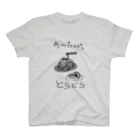 ぬいか(っ´ω｀ｃ)もちもちのめんたんぴんどらどら(縁なし) Regular Fit T-Shirt