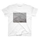 Somewhere in Japan どこか のkurasu Regular Fit T-Shirt
