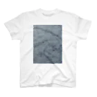 SPECTRUM RECORDSの雪みたいな雲 Regular Fit T-Shirt