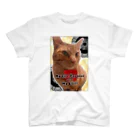 あしたのひまわりの茶トラの愛猫『虎乃助くん』 Regular Fit T-Shirt