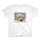 leorioのポメプーのレオちゃん Regular Fit T-Shirt